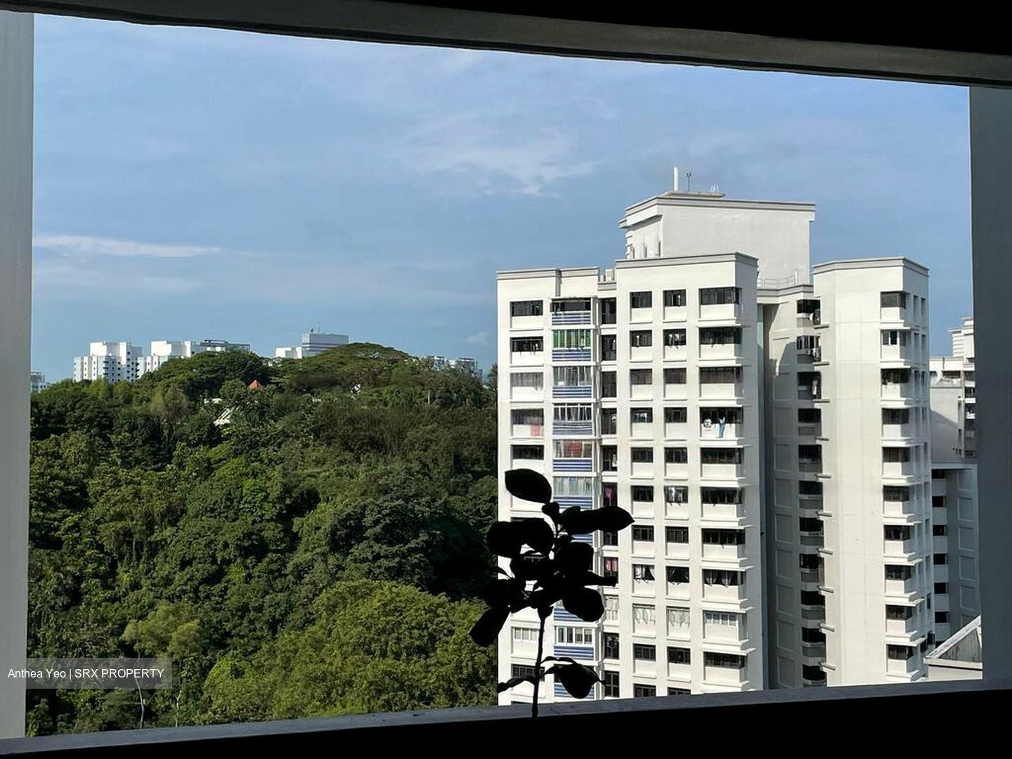 Blk 103A Depot Heights (Bukit Merah), HDB 4 Rooms #639731561